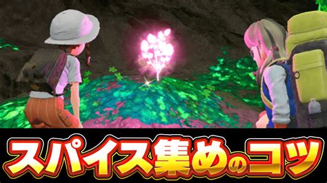 【ポケモンsv】秘伝ひでんスパイスの効率的な入手方法・集め方【スカーレットバイオレット】 Appbank