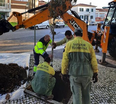 Vila De Rei Munic Pio Realiza Opera O De Revitaliza O Dos Espa Os