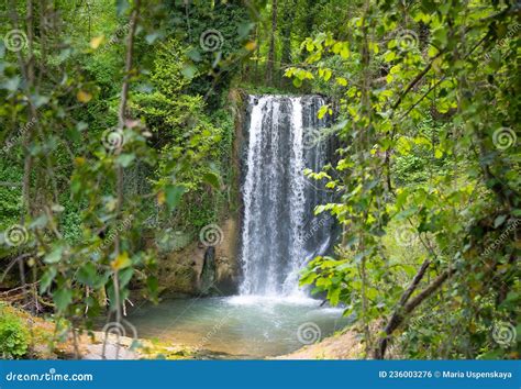 Beautiful Waterfall In Green Forest Among Trees Stock Photo Image Of