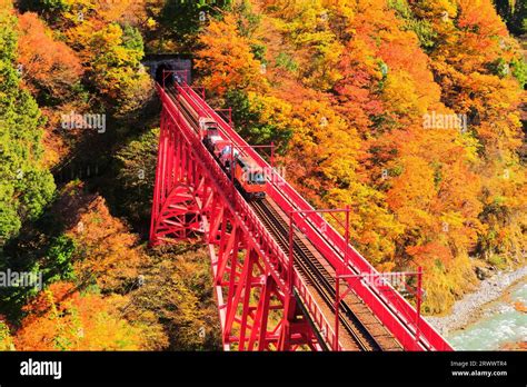 Kurobe Gorge Railway A Trolley Car And Autumn Leaves In Autumn Stock