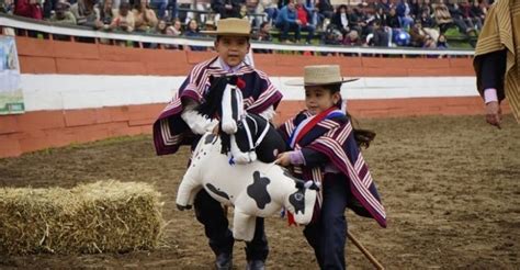 Mi Primer Caballito Tambi N Tendr Un Lindo Espacio En La Semana De La