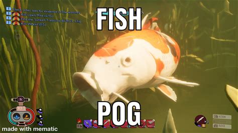 Fish Pog Rgroundedgame