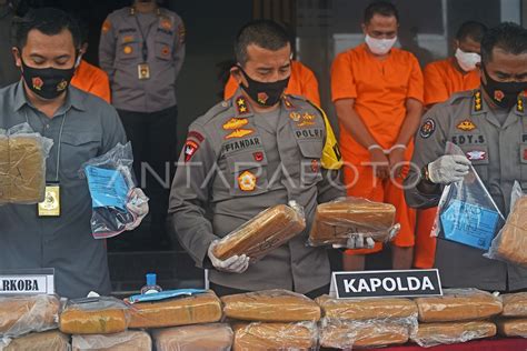 UNGKAP PENYELUNDUPAN 150 KG GANJA DARI ACEH ANTARA Foto