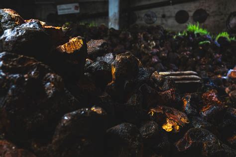 briar processing stages  processes  giordano briar giordano briar