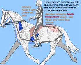 Correct Horse Riding Position