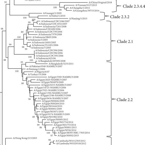 Phylogenetic Analysis Of H5 Clades Based On Ha Nucleotide Sequences Download Scientific