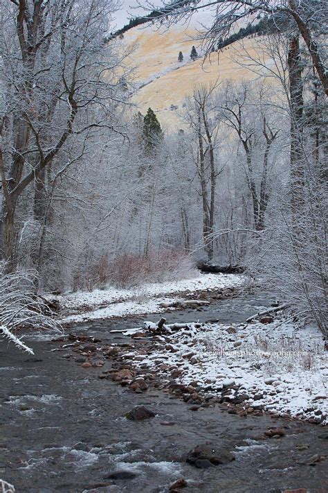 Rattlesnake Creek Montana 2017 Cold Creek Landscape Nature