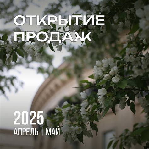 НОВАТ опера | балет | Иван Васильев в балете «Щелкунчик» — 17, 22 и 27 ...