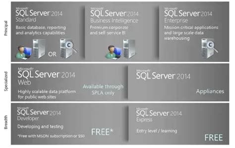 Microsoft Sql Server Licensing Guidelines Dynamics Consultants