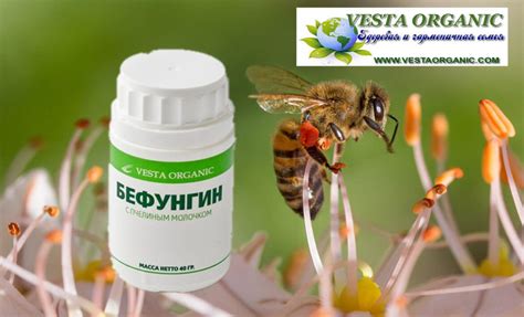 Продукт пищевой «БЕФУНГИН» - VESTAORGANIC