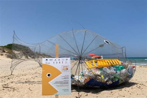 Arriva Il Pesce Mangia Plastica Che Libera Le Spiagge Di Torre Canne