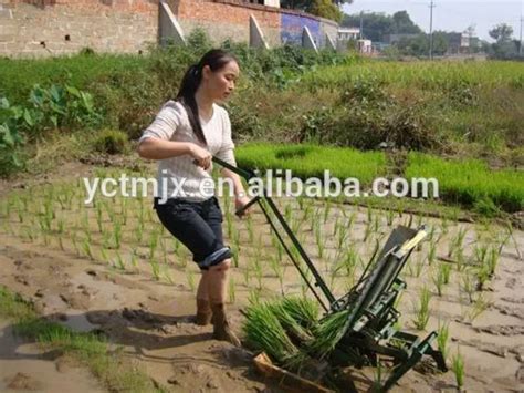 Mini Rice Planter Hand Push Seeding Machine Rice Transplanter Buy 2