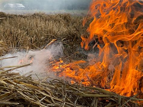 Übung Vegetationsbrand Feuerwehr der Stadt Butzbach