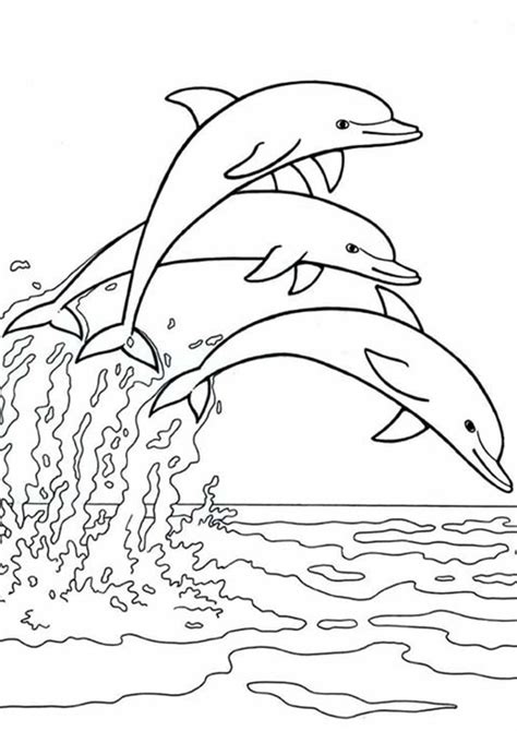 Free Easy To Print Dolphin Coloring Pages Dolphin Coloring Pages