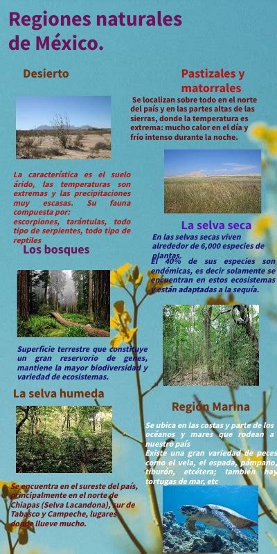 Regiones naturales en méxico