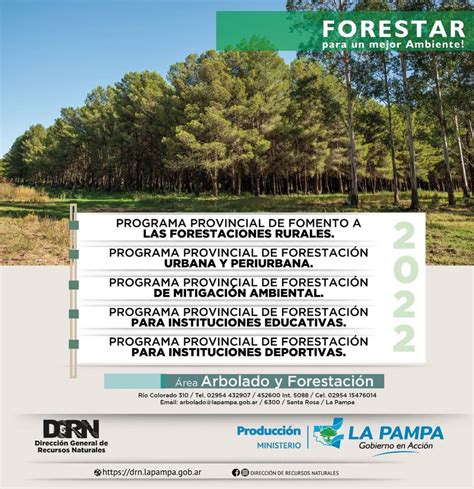 Forestación Recursos Naturales