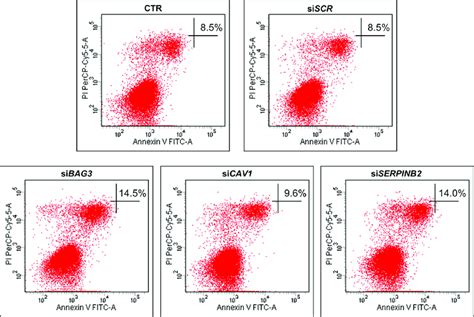 Flow Cytometric Detection Of Apoptosis In The 8505c Cell Line Download Scientific Diagram