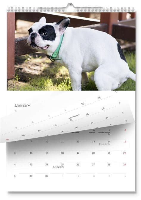 Hunde Kacken Kalender Wei Er Elefant Gag Geschenk Etsy De