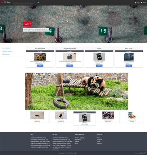 stunning visuals  custom themes scipioerp