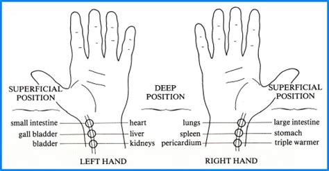 About Health Pulse Diagnosis