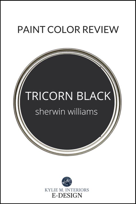 Sherwin Williams Tricorn Black