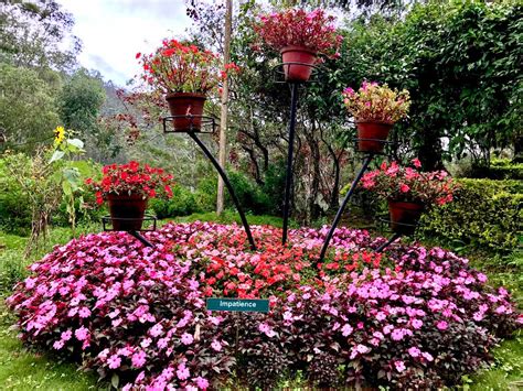 Rose Garden Munnar Photos Information Images And Timings