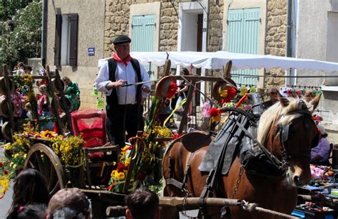 Bédarrides La foire aux chevaux se recentre sur son ADN initial