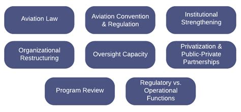 Civil Aviation Authorities Aviation Strategies International