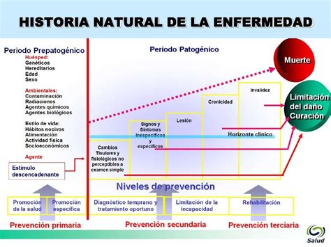 Historia Natural De La Enfermedad Historia Natural Deођ Nbkomputer