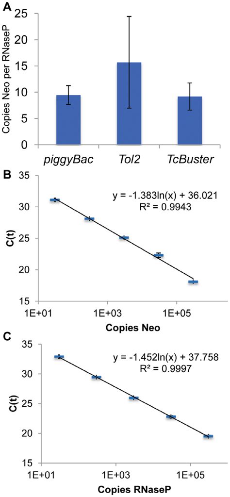 Transposon Copy Number Analysis By Real Time Quantiative Pcr Qpcr For