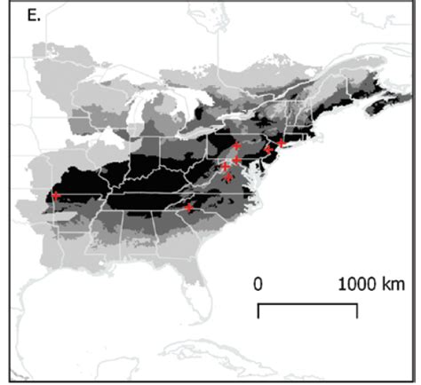 Kentucky’s The Ideal Habitat For A New Invasive Tick Species | WKU ...