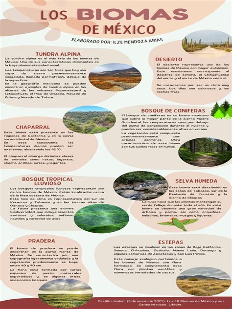 Biomas De Mexico Descargar Gratis Pdf México Desierto