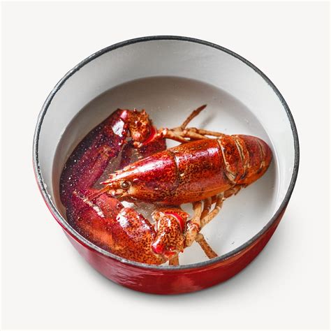 Cooked lobster image, food photo | Premium Photo - rawpixel