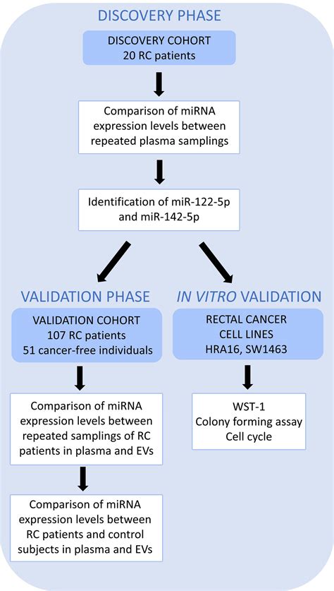 Frontiers Analysis Of MicroRNA Expression Changes During The Course