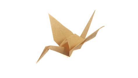 Traditional Origami Crane - Origami Expressions