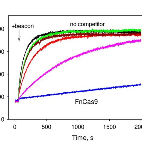 Competition Assay With Fncas9 Using Dna Probes With Upstream Edges At