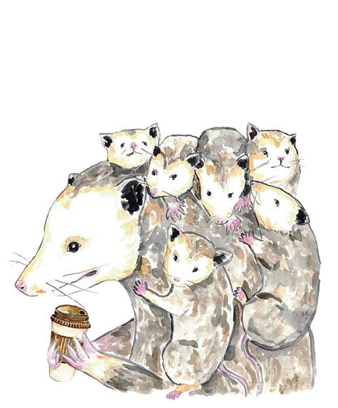 Opossum Mama Needs Coffee Watercolor Painting By Maryna Salagub Pixels