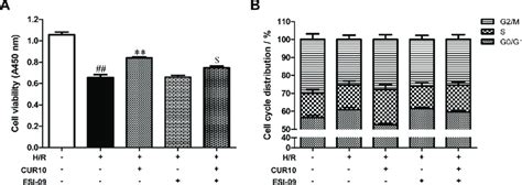 Epac1 Blockade Reversed The Protective Effects Of Curcumin Pretreatment