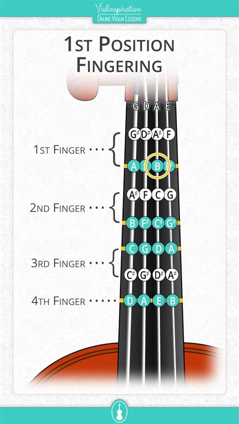 Violin First Position Fingering Tapes Notes B Marked Violin