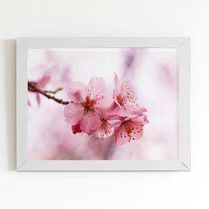 Quadro Flores Cerejeira Rosa Sakura Moldura Branca 60x40cm Leroy Merlin