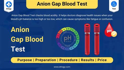 Top Anion Gap Blood Test keywords Test Blogs - Drlogy