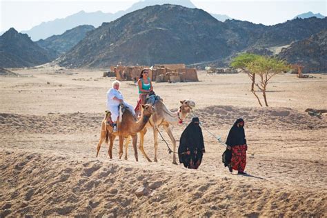 Hurghada Safari In Jeep E Cammello Con Cena E Spettacolo Di Fuoco Nel