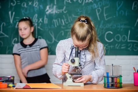 School Classes Girls Study Chemistry In School Biology And Chemistry