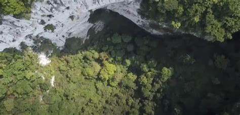 Cientistas Descobrem Floresta Antiga Dentro De Buraco Gigante Na China