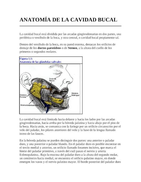 Pdf Cap Sistema Digestivo Cavidad Bucal Dokumen Tips The Best Porn