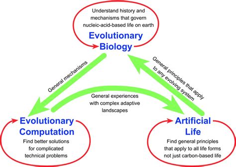 A Framework For Evolutionary Systems Biology Bmc Systems Biology Full Text