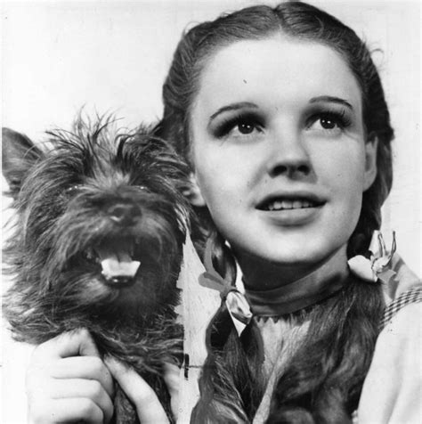 Toto the Dog with Dorothy | Who2