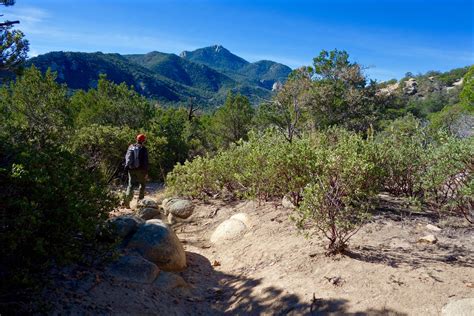 Earthline The American West Rincon Peak 8482 Saguaro National