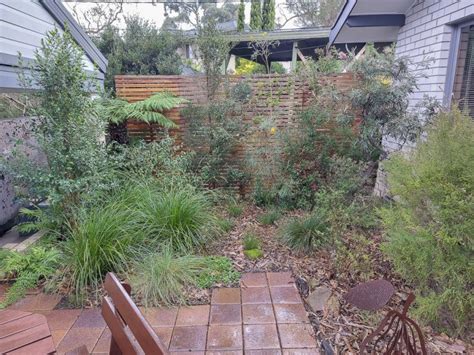 My Small Native Courtyard Australian Native Plants Society Australia