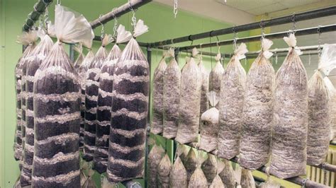 How To Grow Mushrooms In A Bag Grocycle